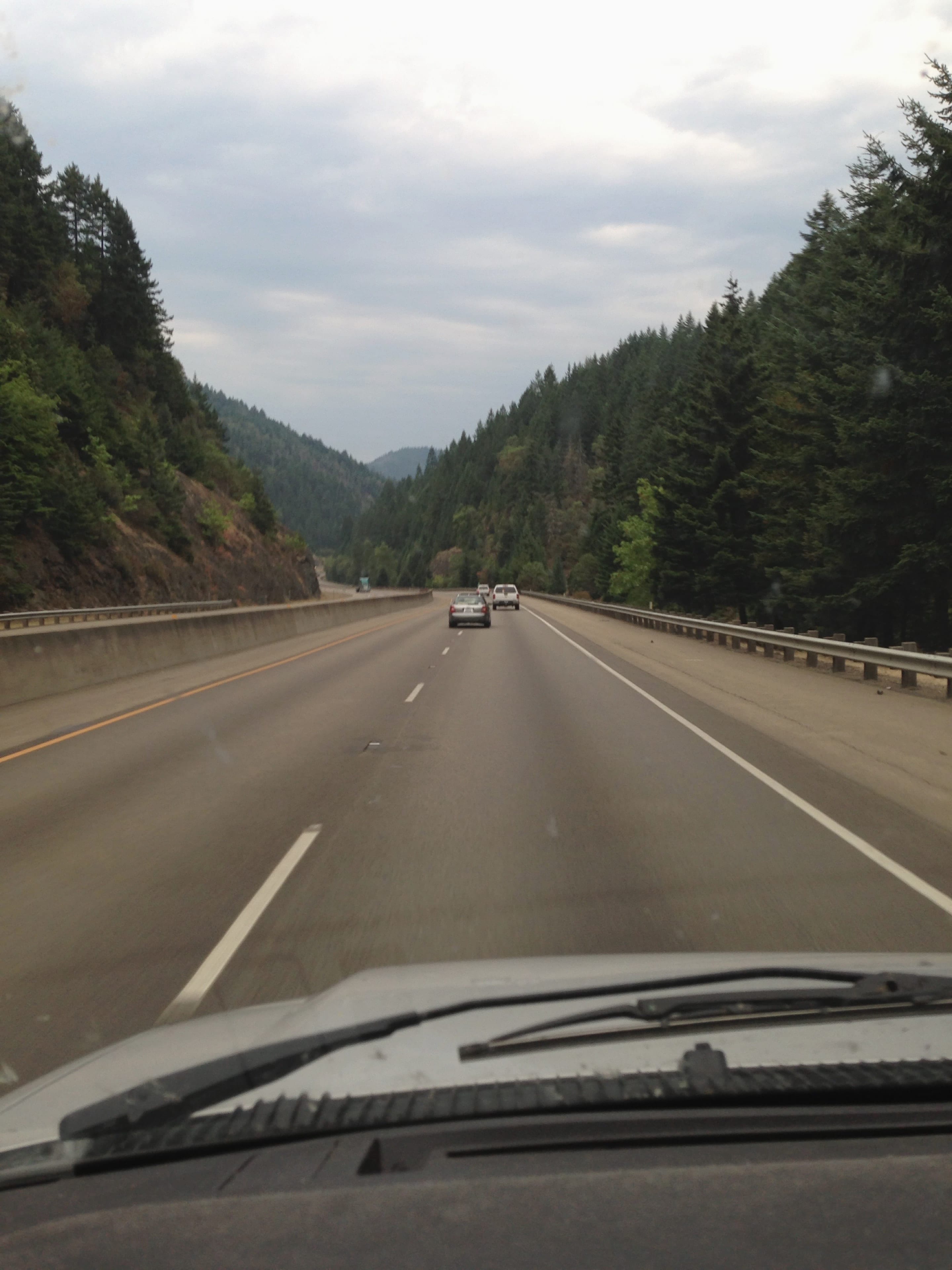 View through a vehicle windshield of a divided mountain highway running between densely forested slopes.